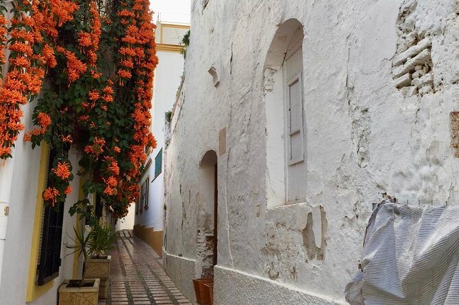 Marbella Old Town: Group Tour with a True Local - Plaza de los Naranjos: the finish line you’ll want to linger in