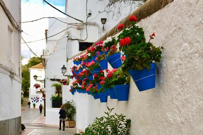 Marbella Old Town: Group Tour with a True Local - Olive oil tasting: what you learn and how to shop without getting lost
