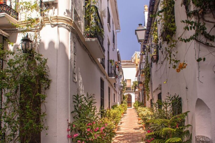 Marbella: Private Customizable Walking Tour with Guide - Getting Oriented Fast in Marbella