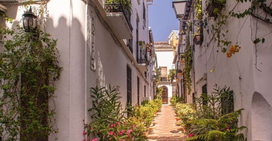 Marbella: Private Customizable Walking Tour with Guide - Meeting Your Guide and Shaping the Route