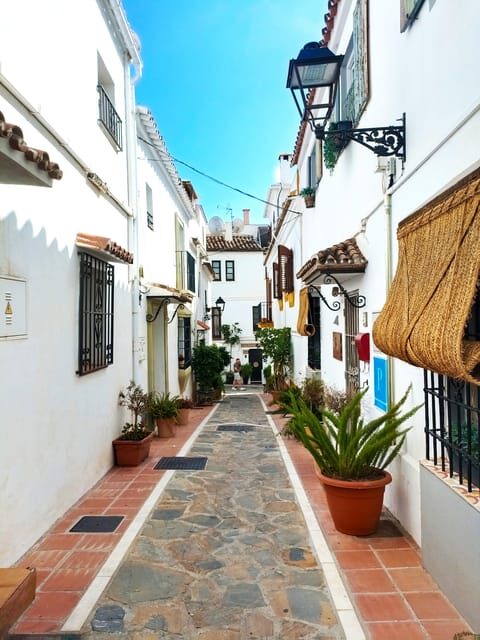 Marbella: Private Walking Tour - Town Hall Stops and Castilian-Era Landmarks