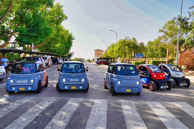 Montes de Málaga Gastronomic Tour by Electric Car - Price and value: what $190.63 buys you (and why it can be worth it)