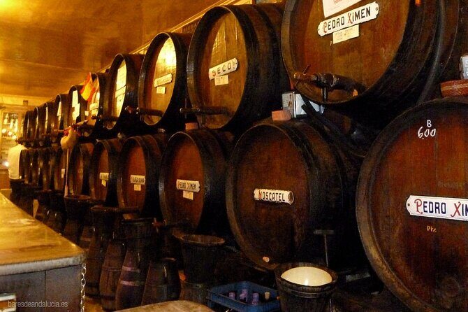 PREMIUM TAPAS TOUR: Tapas, Paella and Winery - Timing, group size, and how the night flows