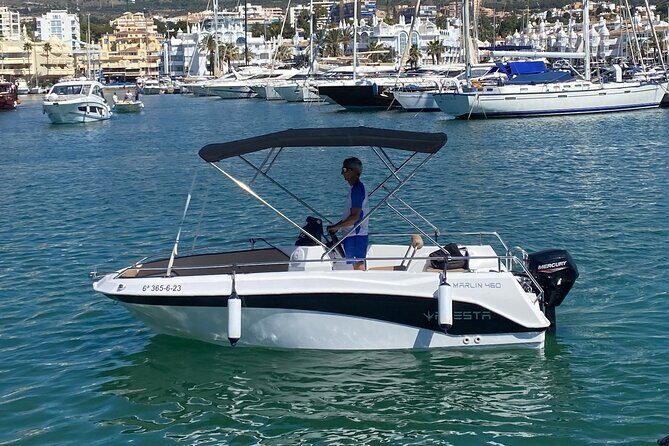 Private boat rental without title dolphin watching - Captain Your Own Boat Without the Headache of a Big Setup
