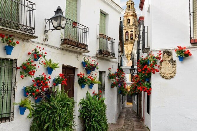 Private Cordoba & Seville Tour with a Finale Horse Carriage Ride - Real Alcázar of Seville: included time that pays off