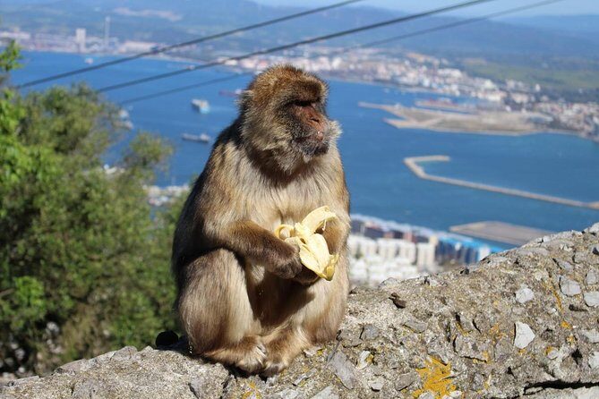 Private Day To Gibraltar from Marbella or Marbella - Why this private Gibraltar day trip from Marbella works so well