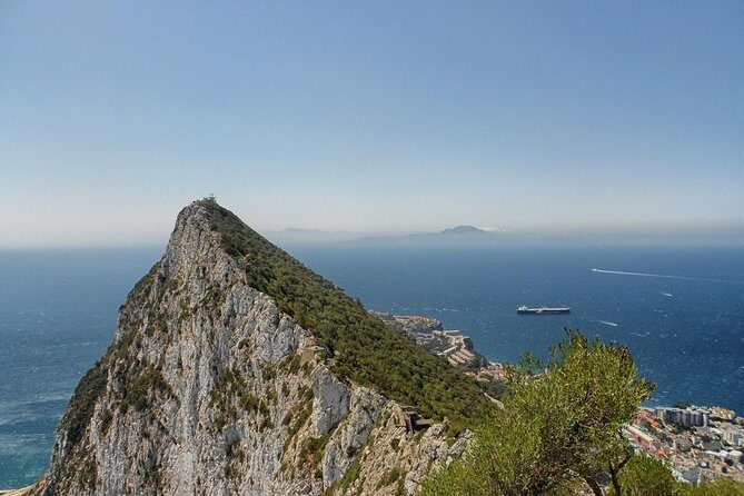 Private Day To Gibraltar from Marbella or Marbella - The Alameda (Gibraltar Botanic Gardens): a calm opener with admission included
