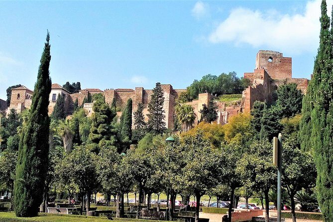 Private full day tour in Malaga from Costa del sol - Picasso in Málaga: Birthplace Area and Museo Picasso Málaga