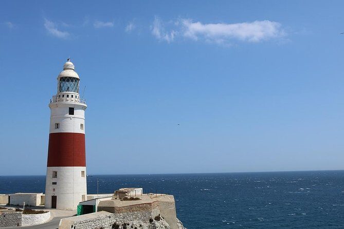 Private Full Day Tour of Gibraltar from Malaga or Marbella - Price and logistics: what $913.35 per person really covers