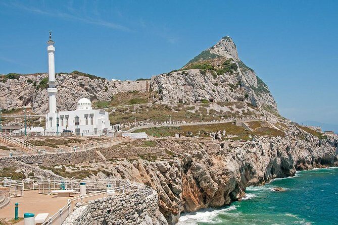 Private Full Day Tour of Gibraltar from Malaga or Marbella - Top of the Rock: the 1.5-hour Upper Rock experience that makes the day feel worth it