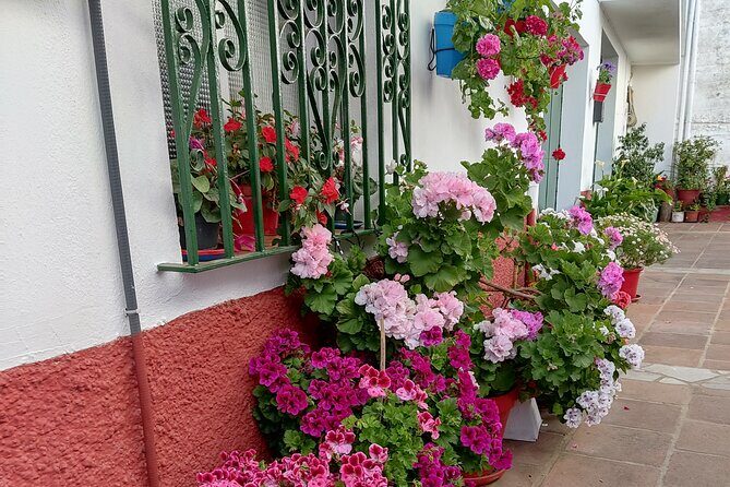 Private half-day tour of Ronda and the White Villages with native - Getting comfortable: air-conditioned transport plus local snacks