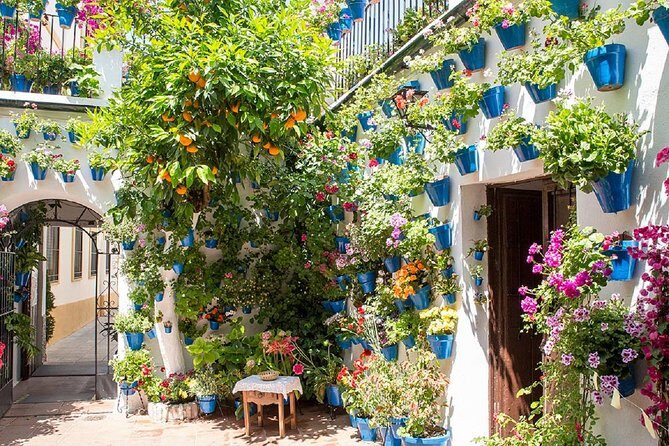 Private Multiday: Cordoba,Granada, Alhambra & Seville from Malaga - Expert guides and real names: what to look for