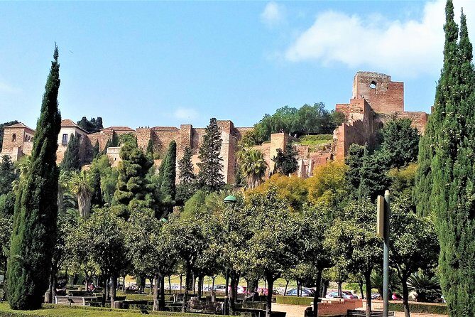 Private tour in Malaga from Costa del Sol - Museo Picasso Malaga Plus the Birthplace Route You’ll Remember