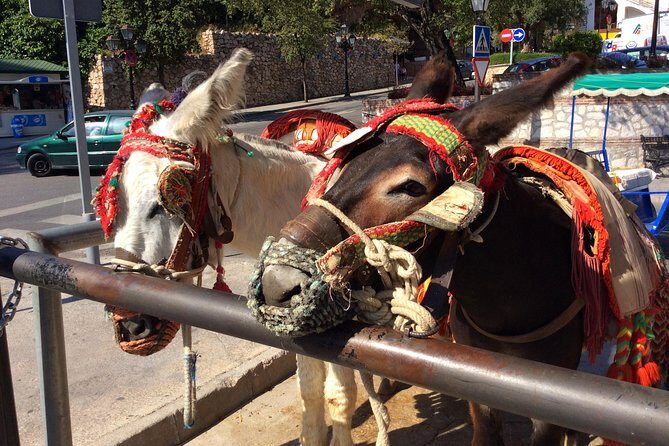 Private tour in Mijas with hotel or shore pickup on Costa del Sol - Donkey Rides and Small Extras: Nice Add-Ons, Not Required