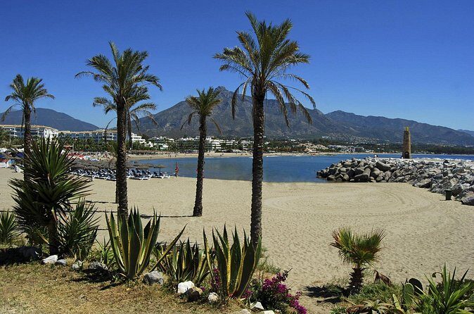 Private Transfer from Malaga airport (AGP) to Torremolinos - Quality Check: What the Best Drivers Get Right