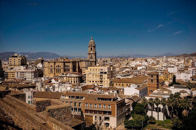 Private Walking Tour in Málaga - Málaga Cathedral for 1 Hour: How the City Shifts After the Fortress