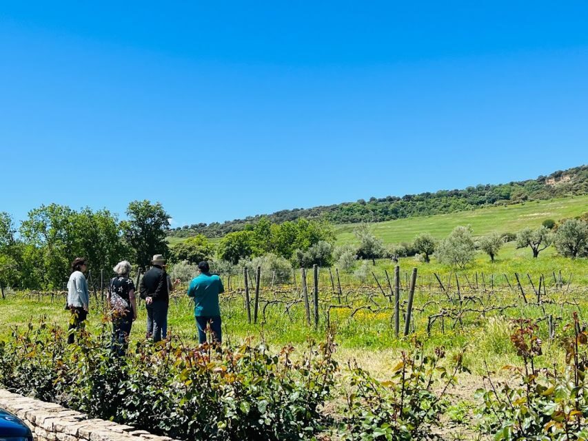 Private Winery Tour and Visit to Ronda - Ronda on your own: how to use your time well