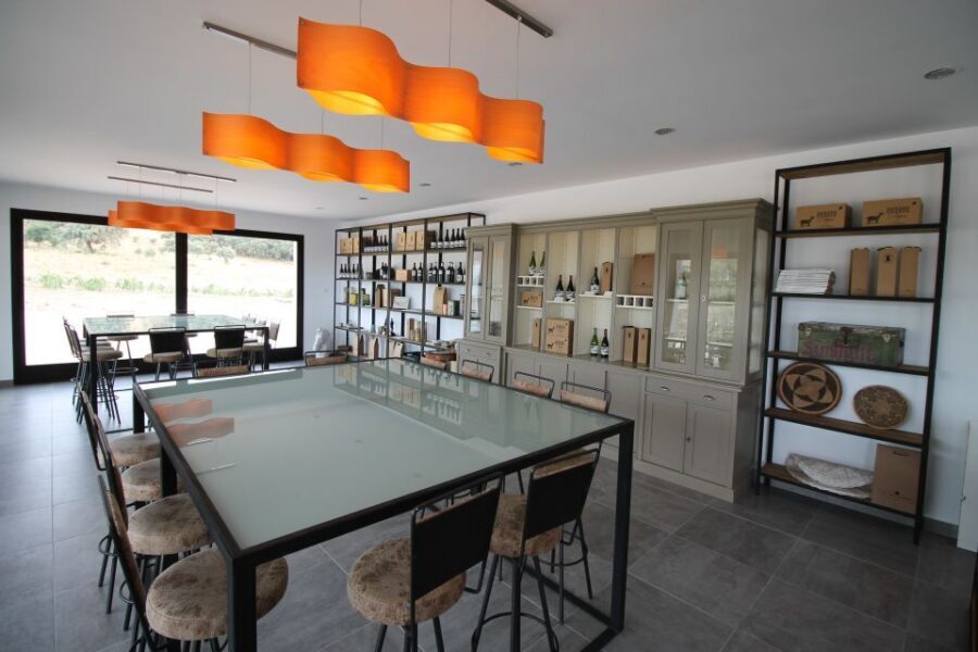 Private Winery Tour and Visit to Ronda - Price and value for a private day from the Malaga coast