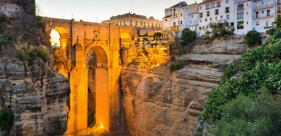 Private Winery Tour and Visit to Ronda - The 2-hour winery tour: what you learn before you taste