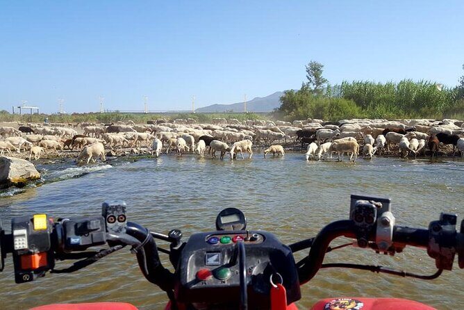 Quad Bikes for Guided Tours. - What the 2 hours actually feel like: demo, practice, and then dirt roads