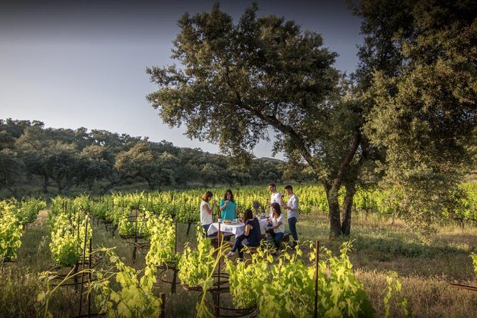 Ronda Private Full Day Wine Tour - Key things to know before you go