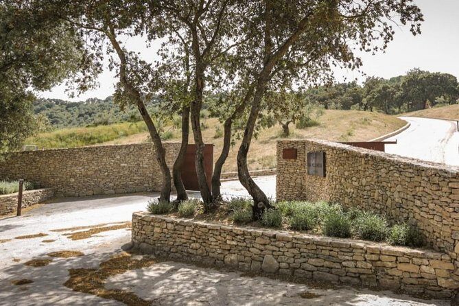 Ronda Private Wine Tour and Tapas from Marbella - Price and value: what $473.05 per person buys you