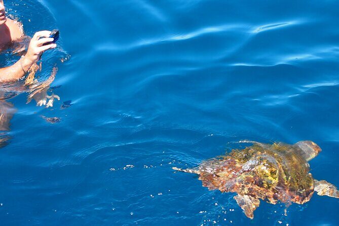 Sailing Boat-always private-always by sail-search for dolphins - Helm time: why steering makes the trip feel personal