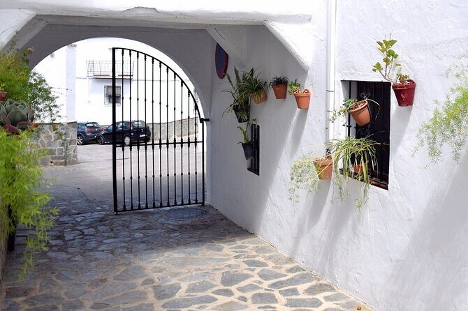 Sensational Setenil by e-bike (full day) - Lunch and Drinks: Good Value, Not Just a Meal Stop