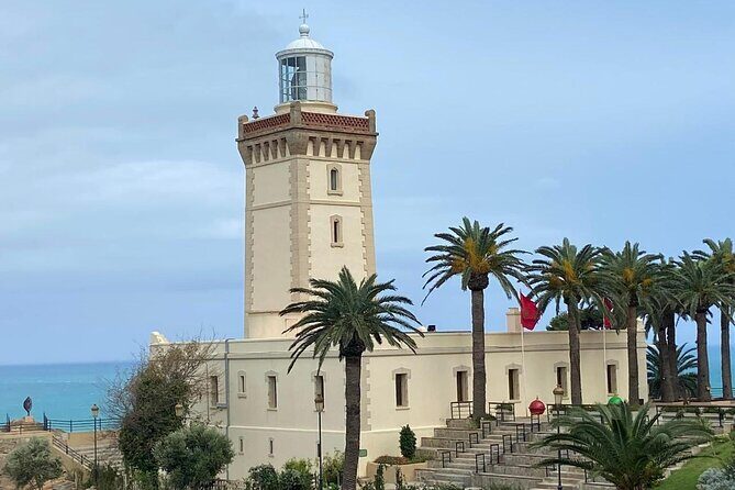 Tangier Private Tour from Marbella Including Camel Ride & Lunch - Price and value: what $536.14 per person buys you