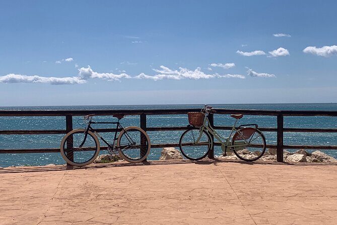 Vintage Style Bike Rental in Malaga - Picking up at P.º Reding, 11: timing matters more than you think