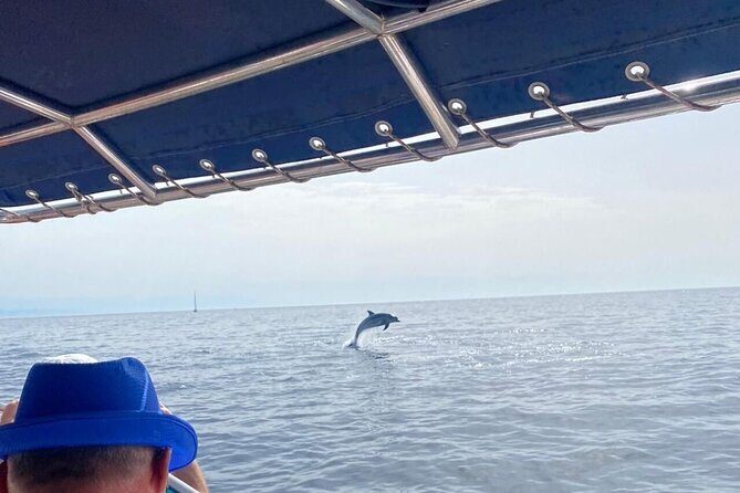 Walk and dolphin watching in Fuengirola + 1 drink - A calm dolphin watch starts with a boat that feels roomy