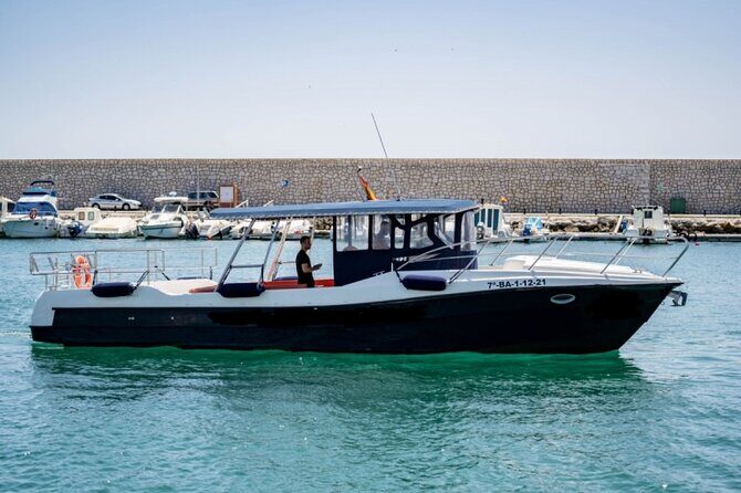 Walk and dolphin watching in Fuengirola + 1 drink - From C. Puerto to the water: what the start really means