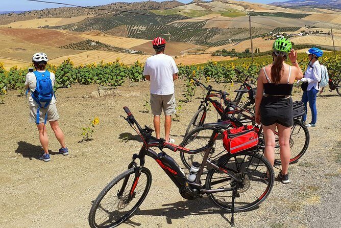 Wine, Tapas & Lake Zahara by e-bike incl Ronda pickup (full day) - Riding with EdibleBikeTours: e-bikes, helmets, and real-world support