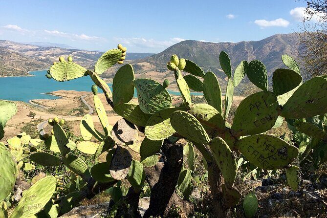 Wine, Tapas & Lake Zahara by e-bike incl Ronda pickup (full day) - Wine and tapas stops enroute: how the food fits the ride