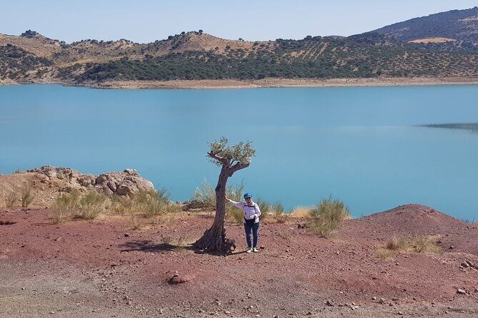 Wine, Tapas & Lake Zahara by e-bike incl Ronda pickup (full day) - Lunch with a complimentary drink: when the day turns into a real meal